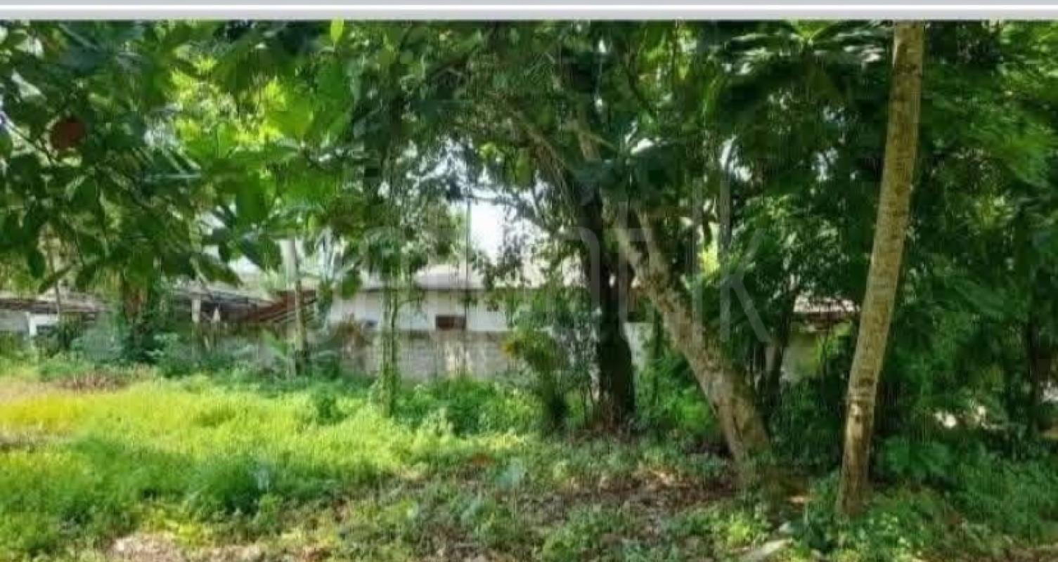 Residential Land for Sale in Piliyandala