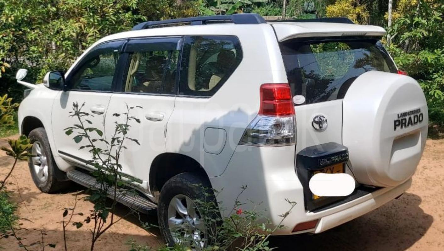 Advertisement image 6