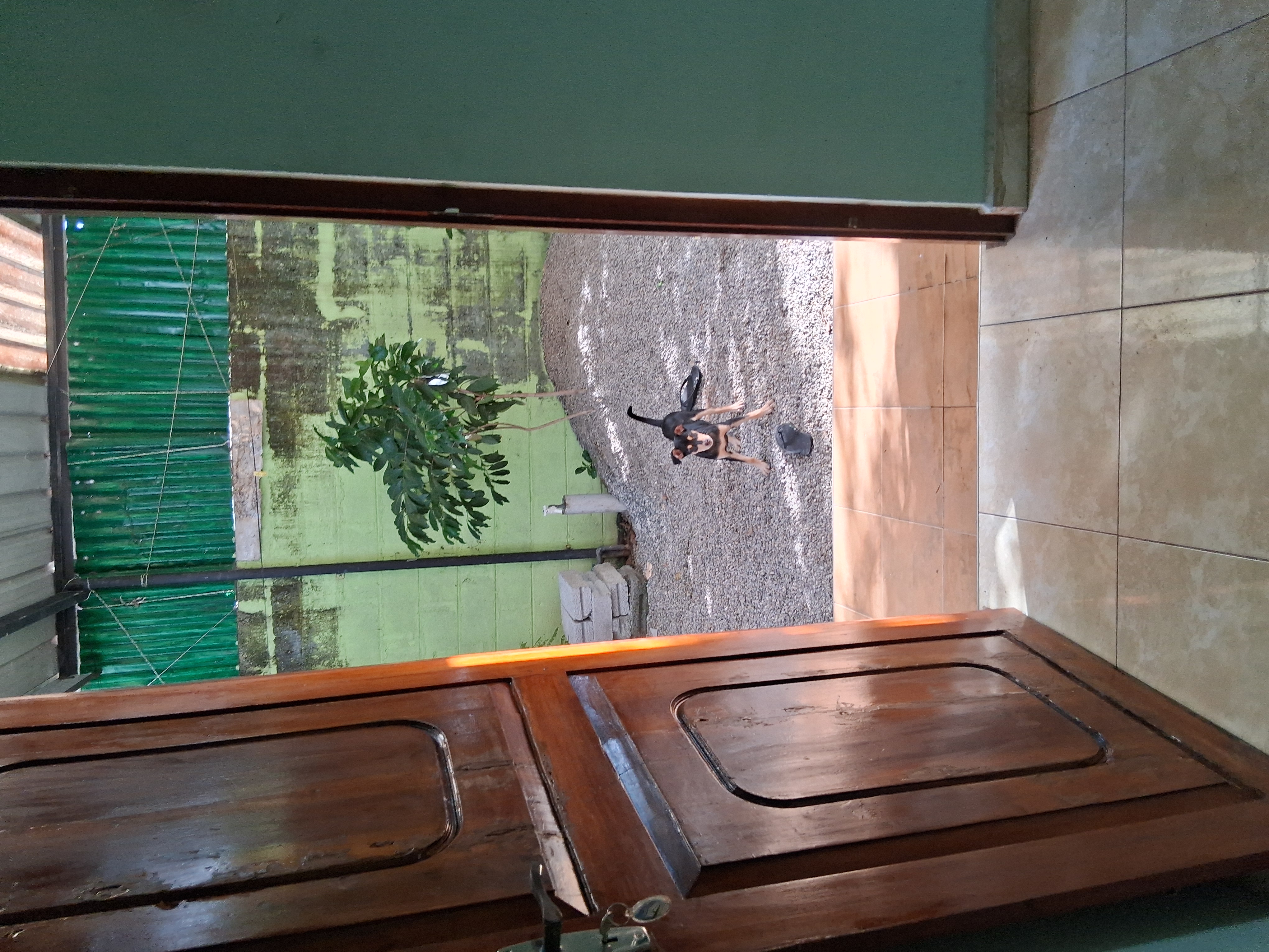Annex for Rent in Rajagiriya