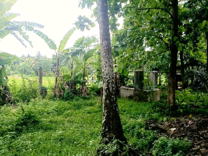 Residential Land for Sale in Narammala