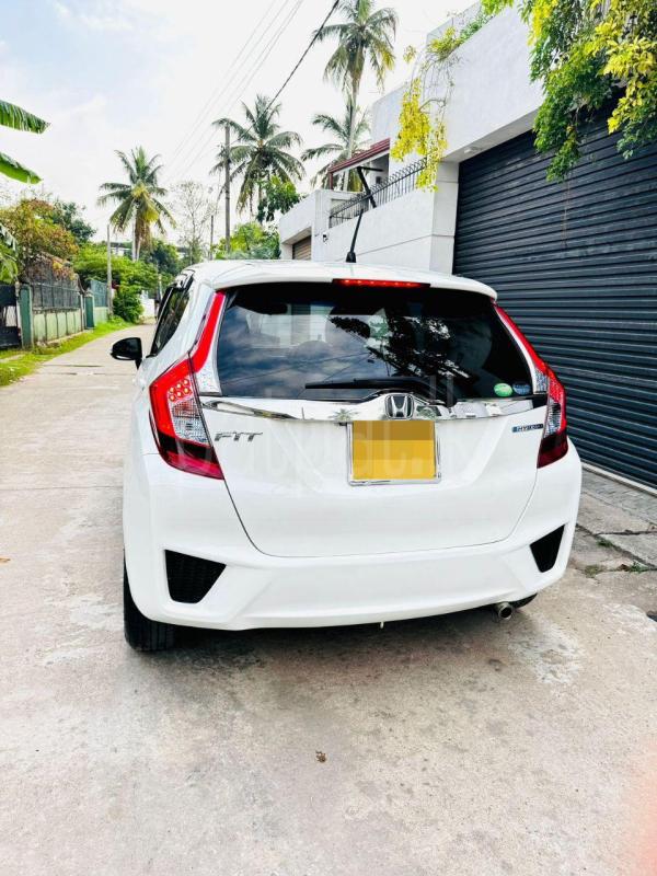 Advertisement image 2