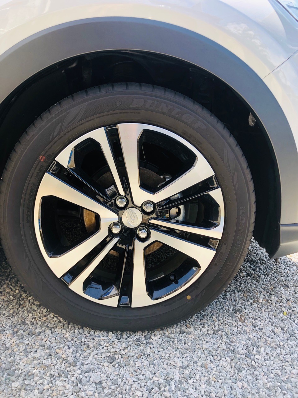 Subaru Rex 2023 - Brand New SUV sale in Sri Lanka - patpat.lk