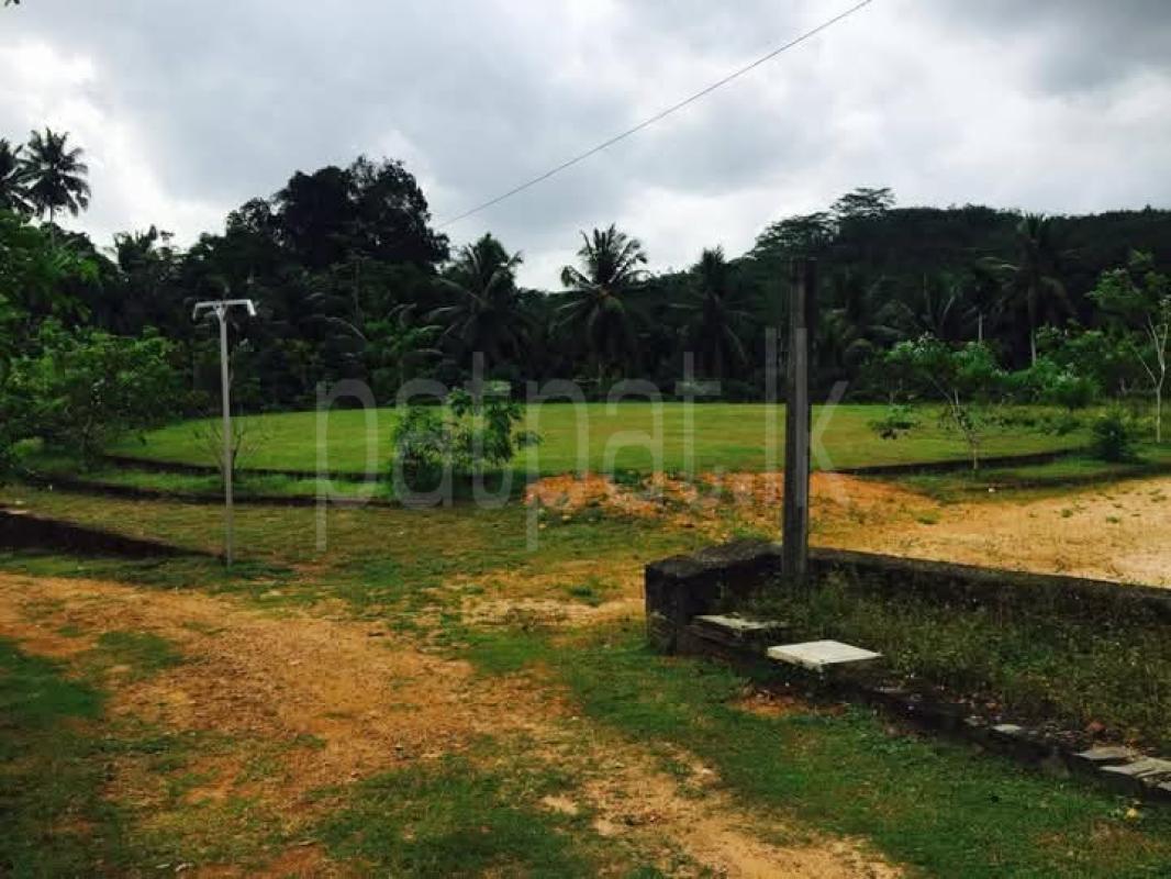 Agricultural Land for Sale in Ingiriya ads-image-1