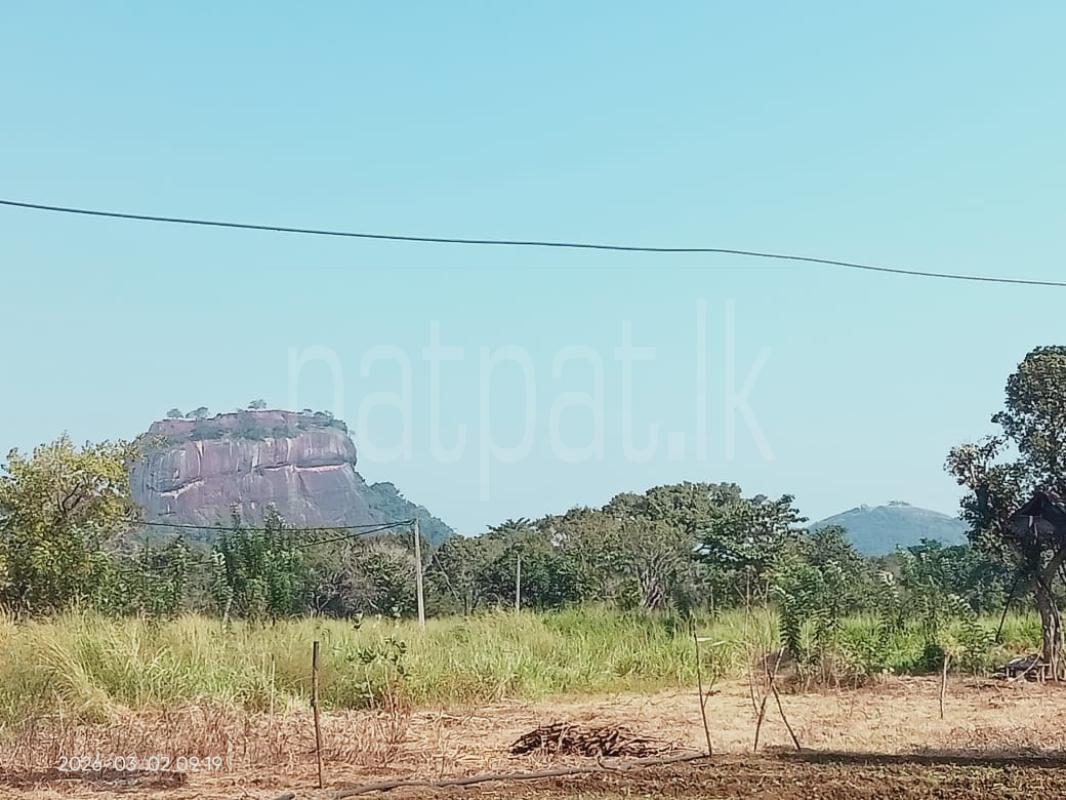 Commercial Land for Sale in Sigiriya