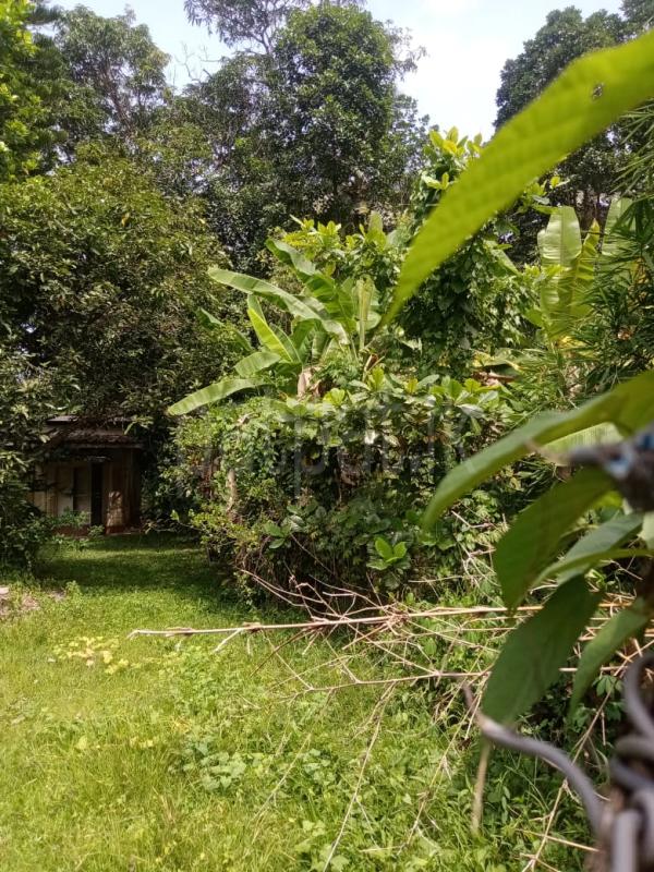 Residential Land for Sale in Minuwangoda