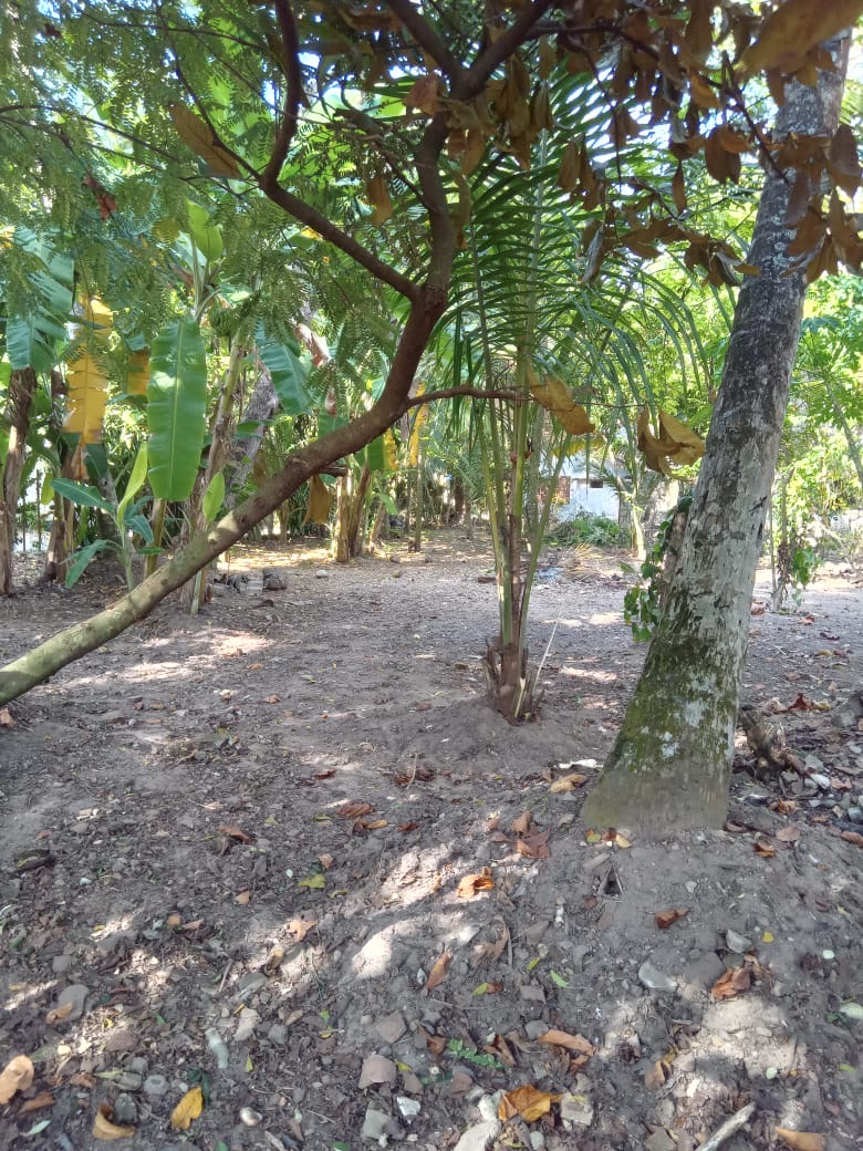 Commercial Land for Sale in Alutgama