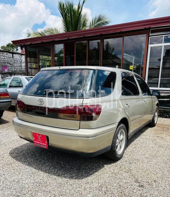 Advertisement image 4