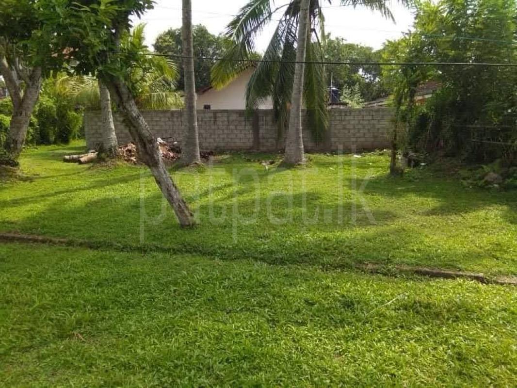 Commercial Land for Sale in Mirissa ads-image-1