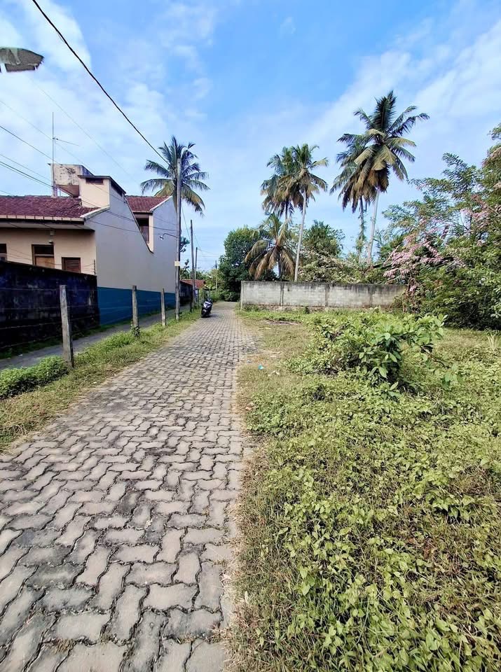 Agricultural Land for Sale in Panadura