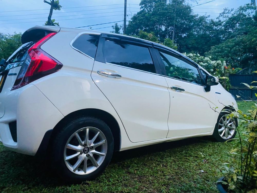 Advertisement image 3