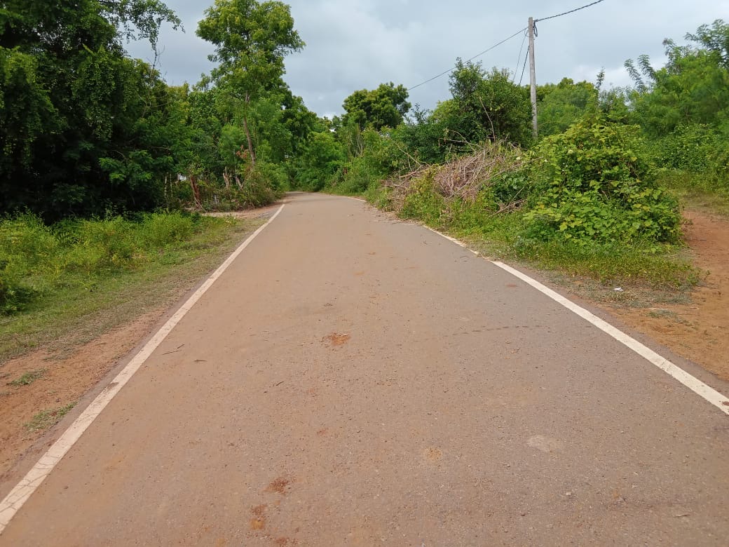 Agricultural Land for Sale in Hungama