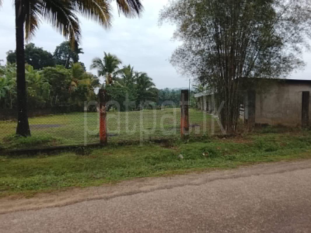 Advertisement image 6