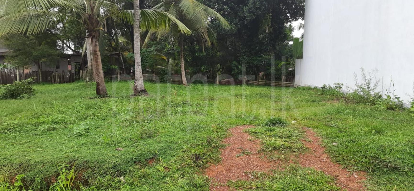 Residential Land for Sale in Nittambuwa