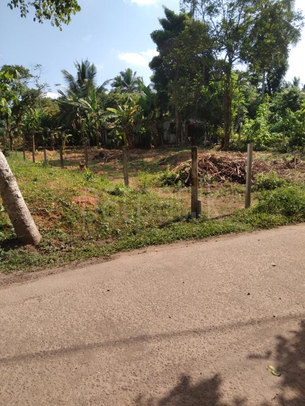 Residential Land for Sale in Meegoda