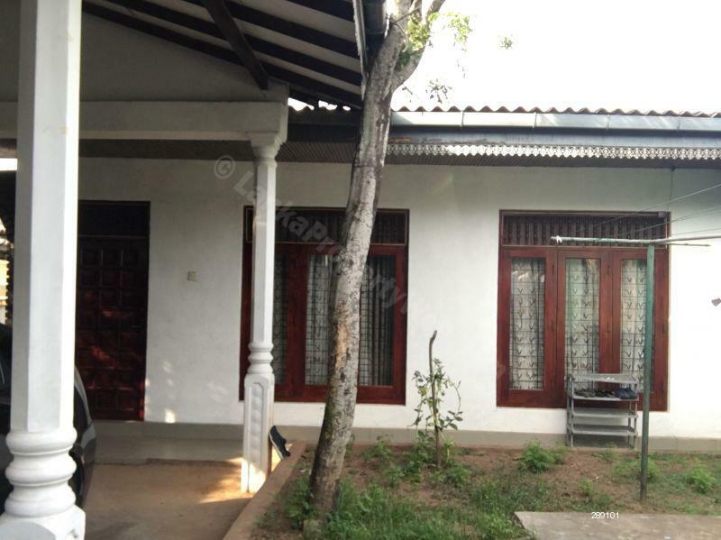 Residential Land for Sale in Dehiwala ads-image-1