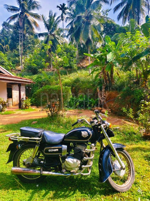 Advertisement image 2