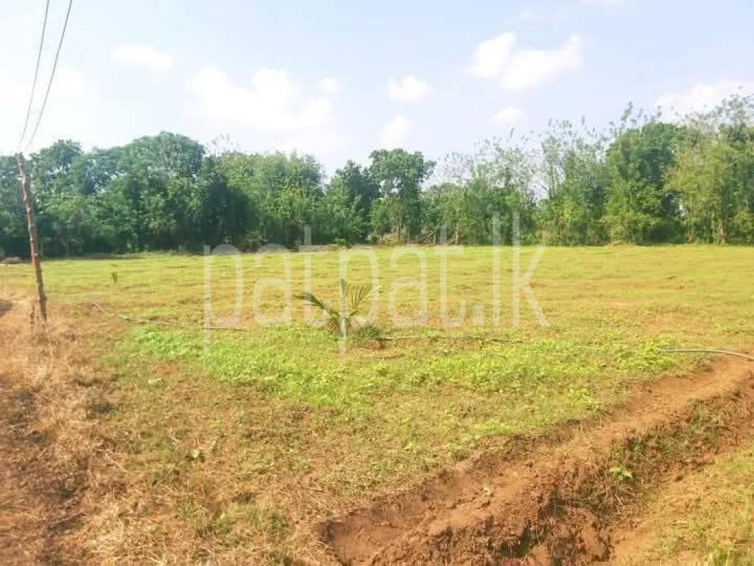 Residential Land for Sale in Sella Kataragama