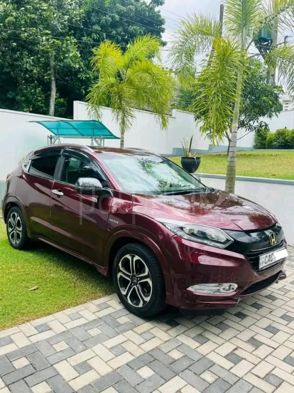 Advertisement image 5