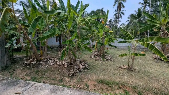 Commercial Land for Sale in Yakkala