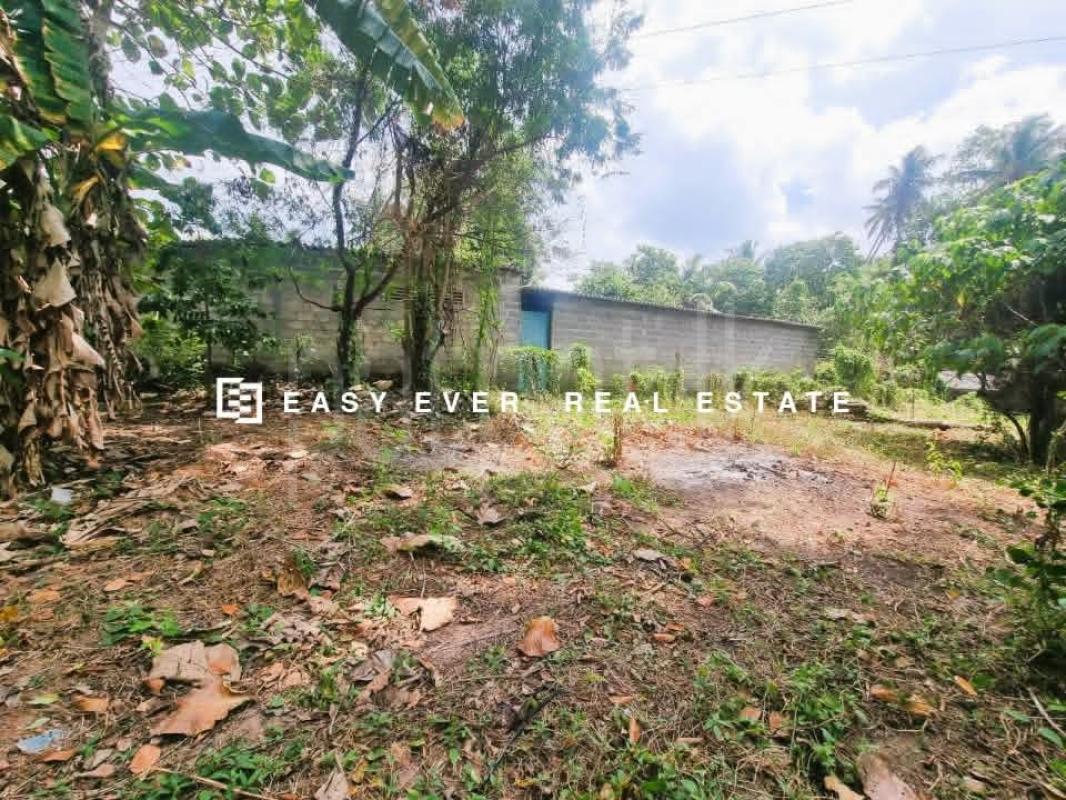 Residential Land for Sale in Minuwangoda