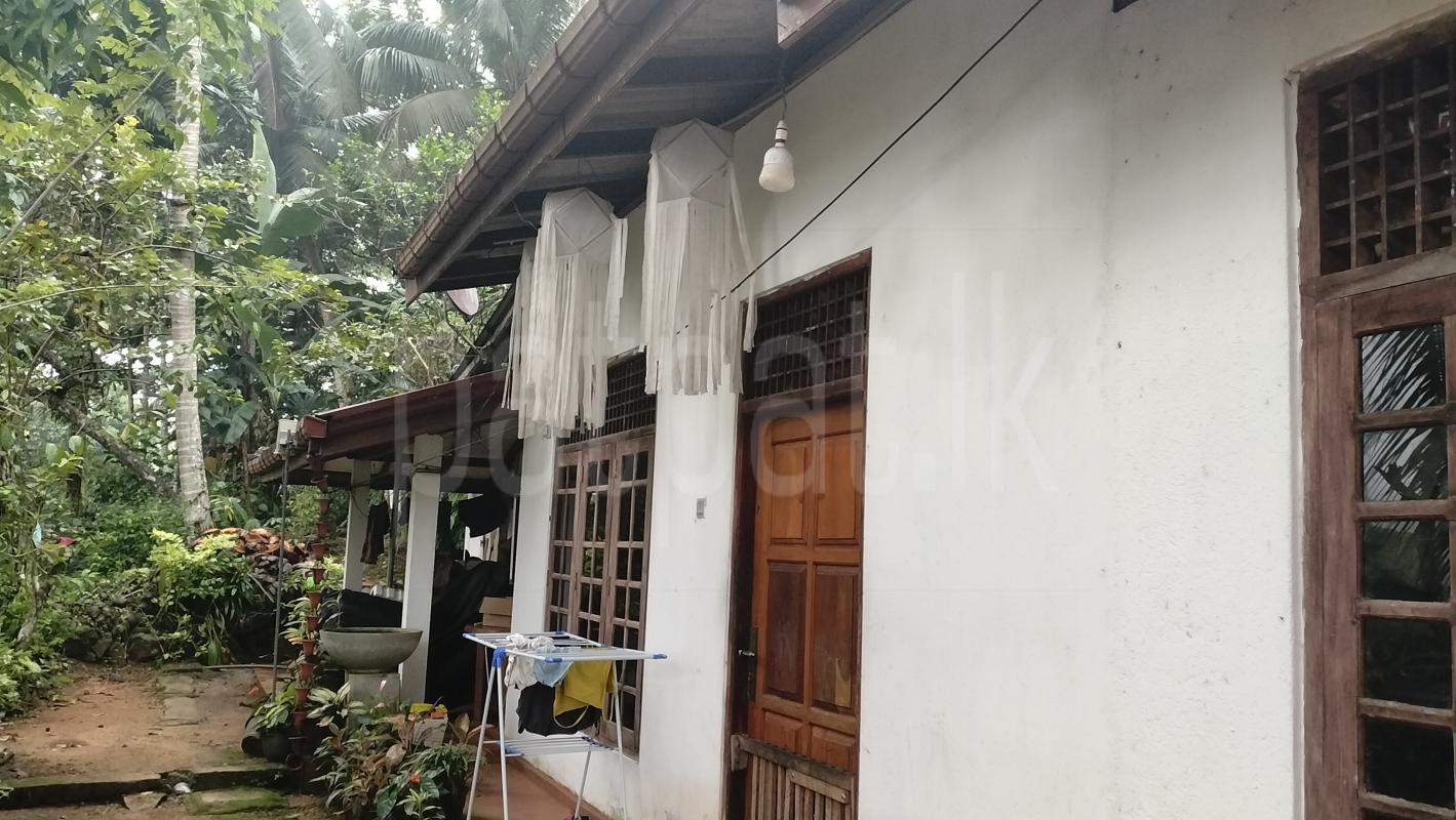 House for Sale in Kahawatta ads-image-1