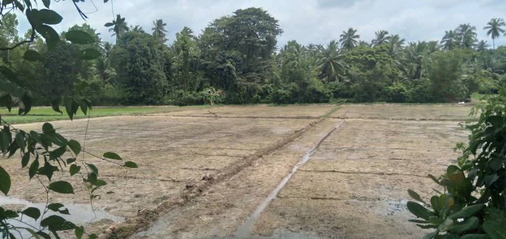 Commercial Land for Sale in Veyangoda