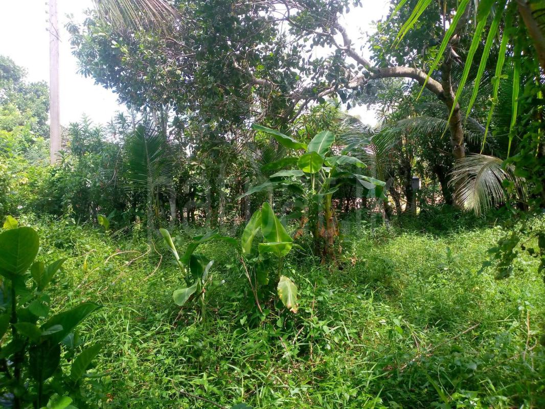 Commercial Land for Sale in Millaniya