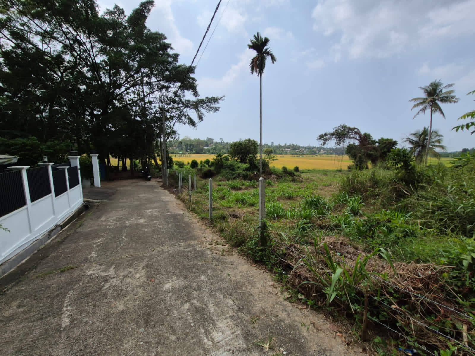Commercial Land for Sale in Malabe
