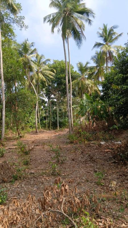 Residential Land for Sale in Udugampola