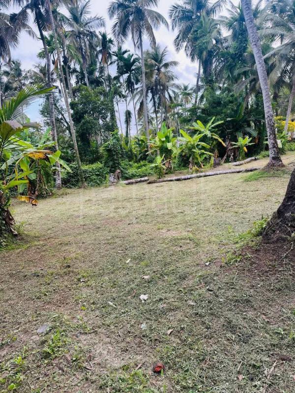 Residential Land for Sale in Ja-Ela