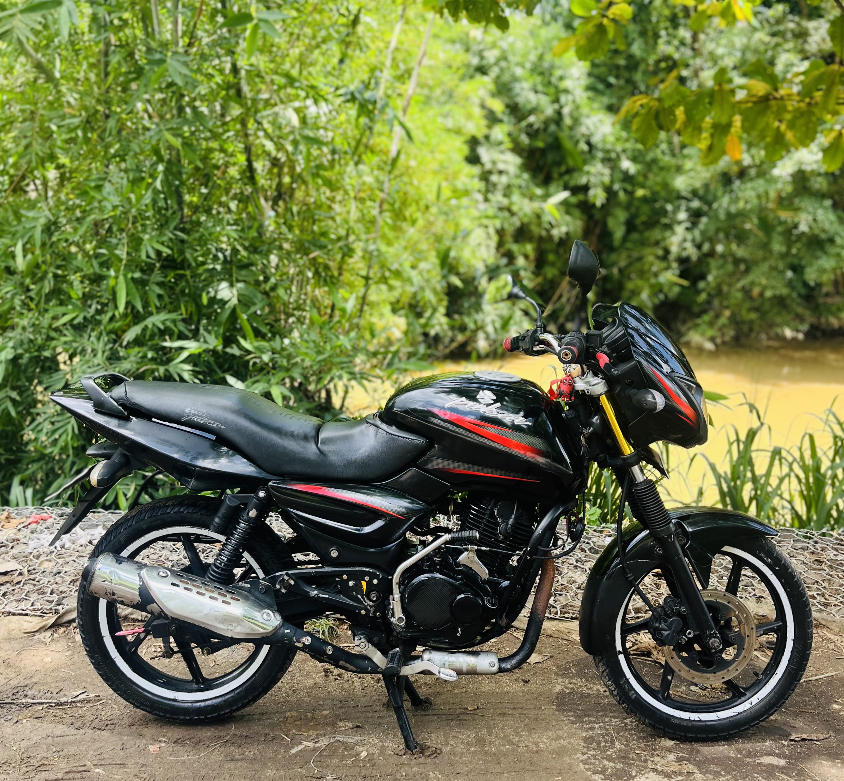 Bajaj Pulsar 2005 - Used Bike sale in Sri Lanka - patpat.lk