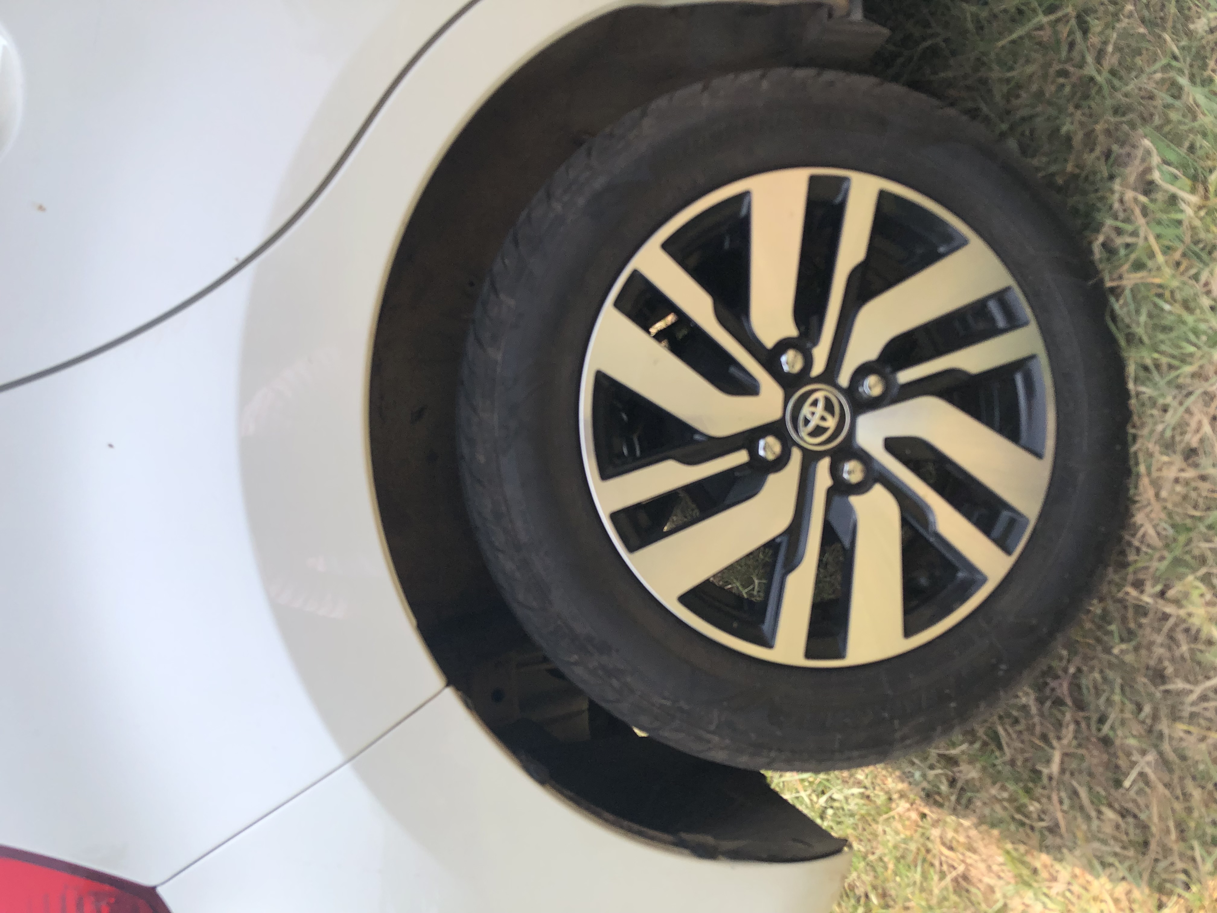 Toyota Passo 2017 - Used Car sale in Sri Lanka - patpat.lk