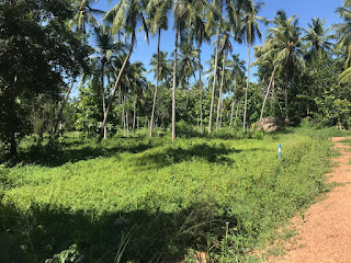 Residential Land for Sale in Udubaddawa