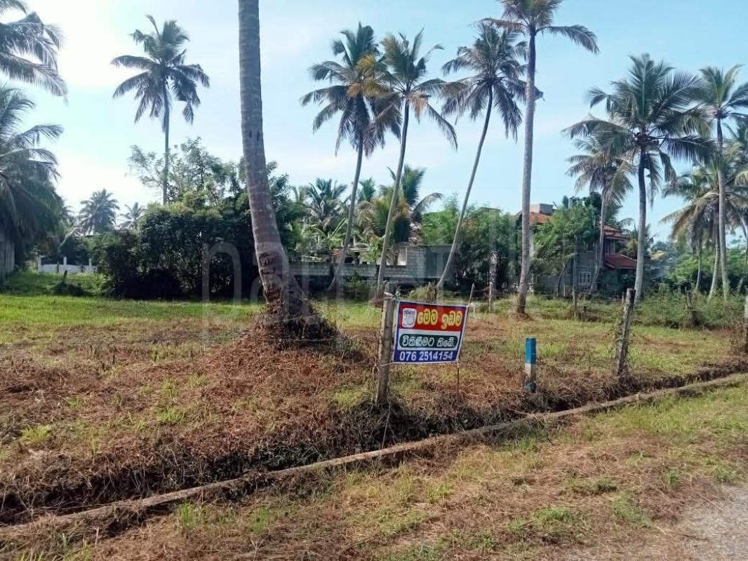 Residential Land for Sale in Kurunegala ads-image-1