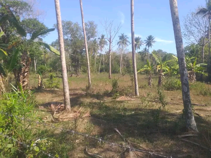 Commercial Land for Sale in Hambantota