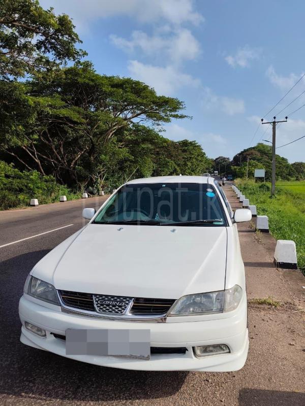 Advertisement image 3