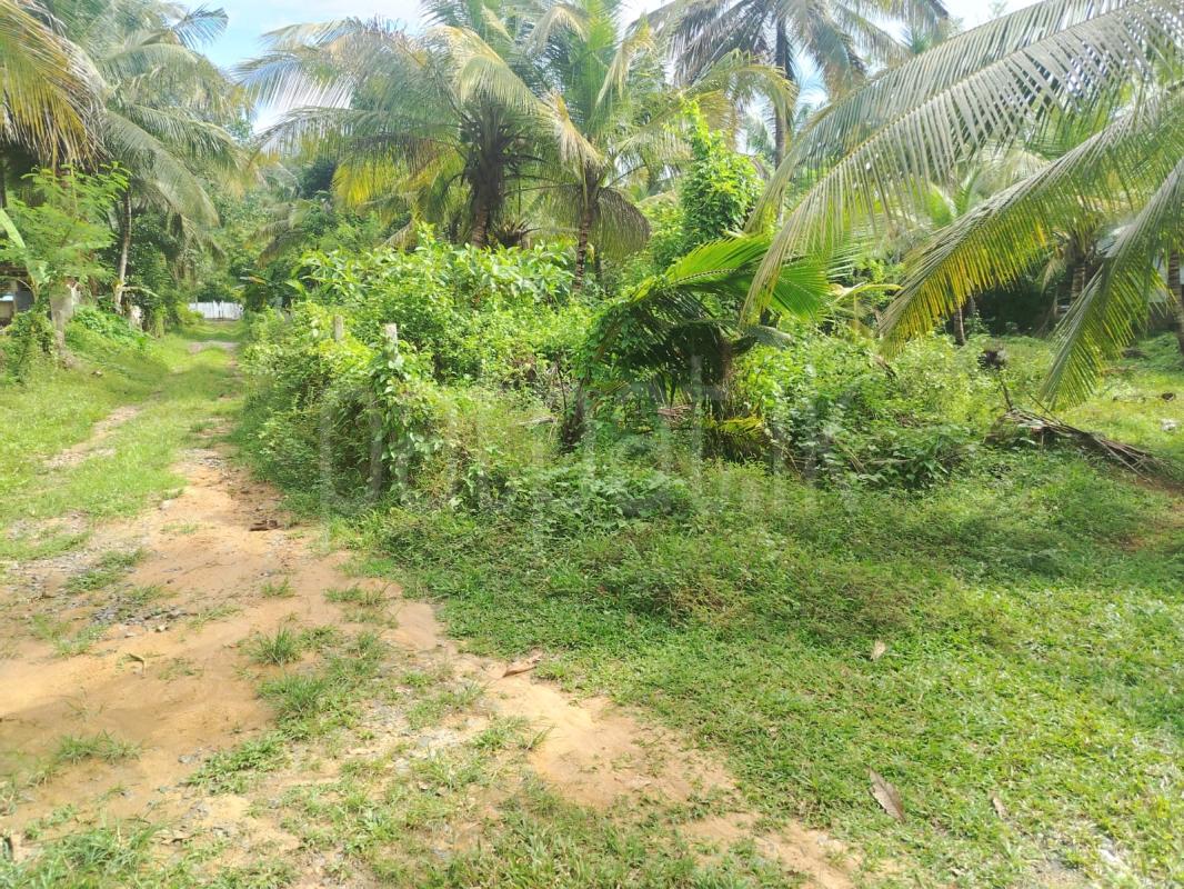 Residential Land for Sale in Walasmulla