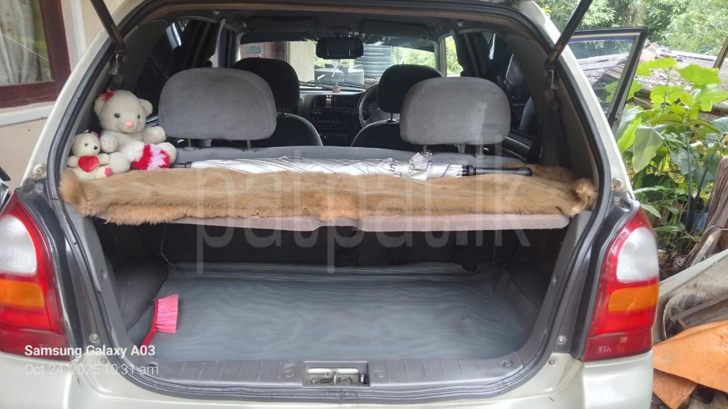 Advertisement image 3