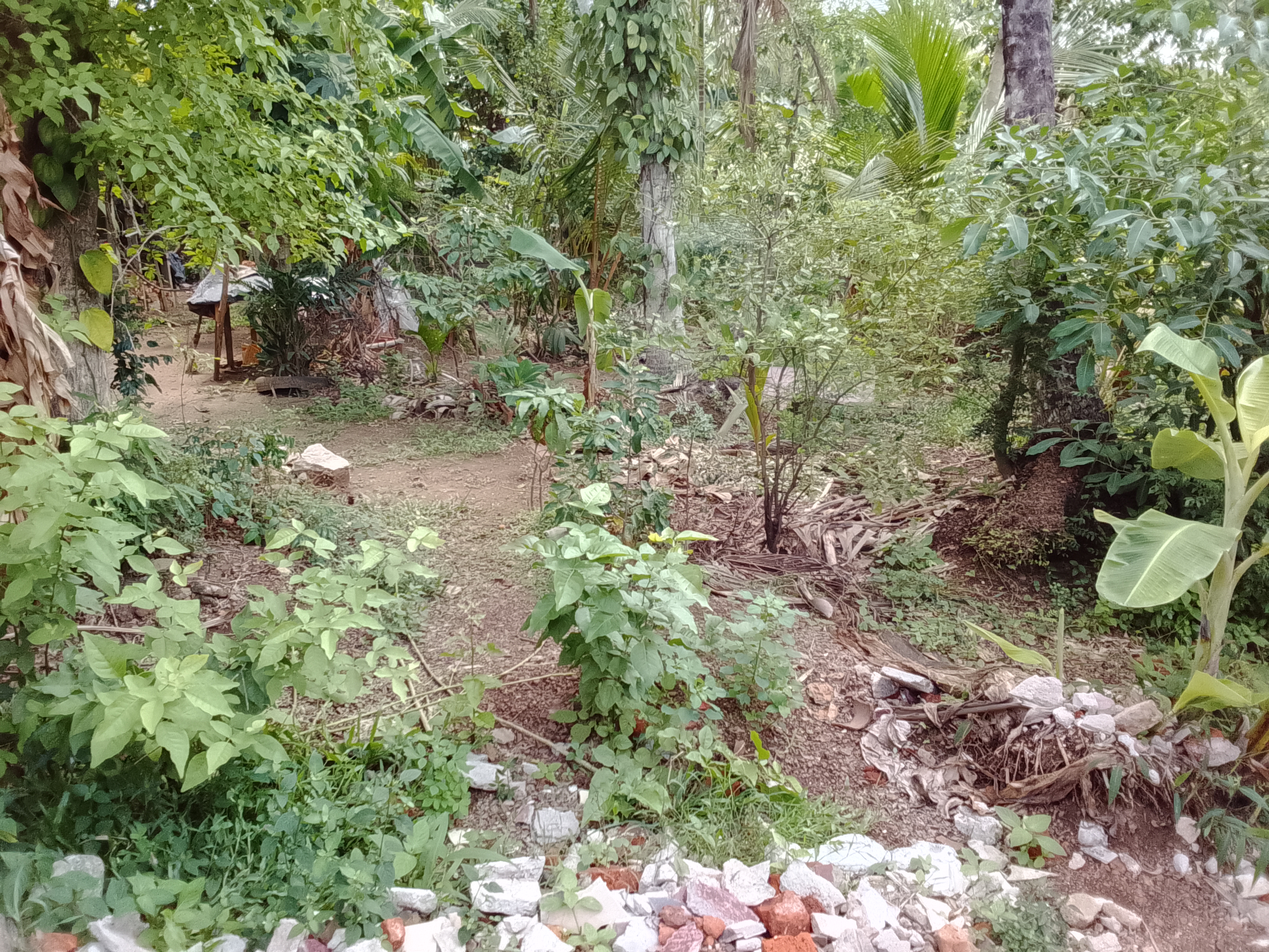 Residential Land for Sale in Kelaniya