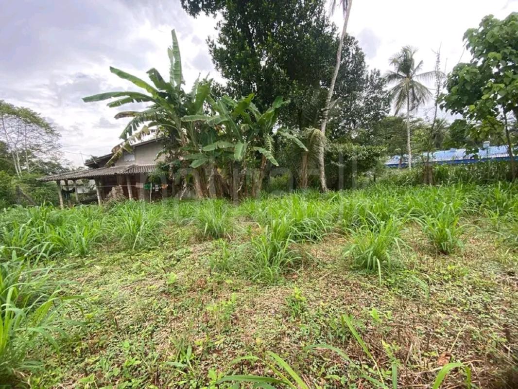 Commercial Land for Sale in Gampaha