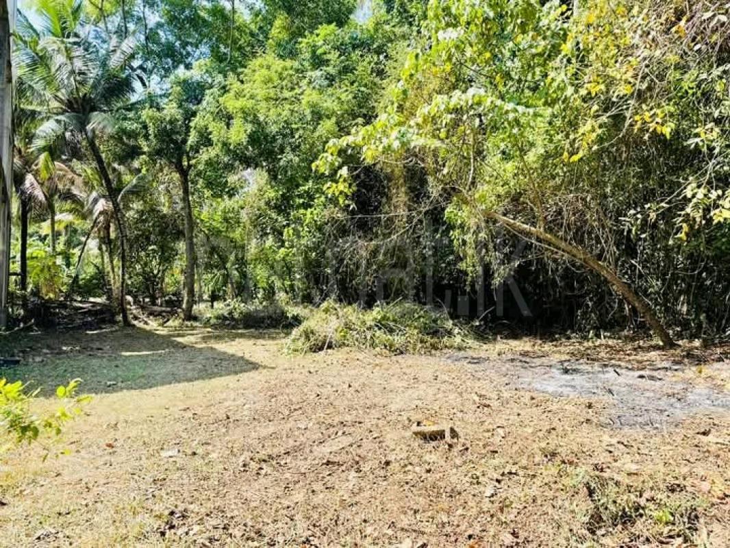 Commercial Land for Sale in Katunayake ads-image-1