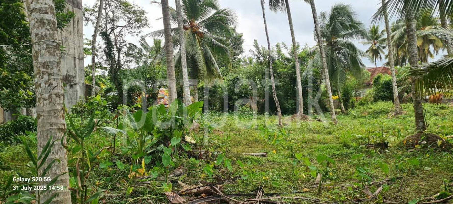 Residential Land for Sale in Padukka