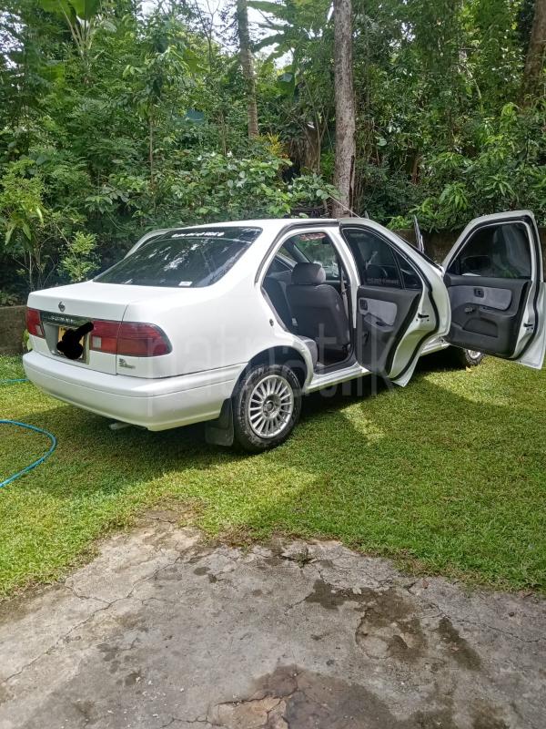 Advertisement image 3