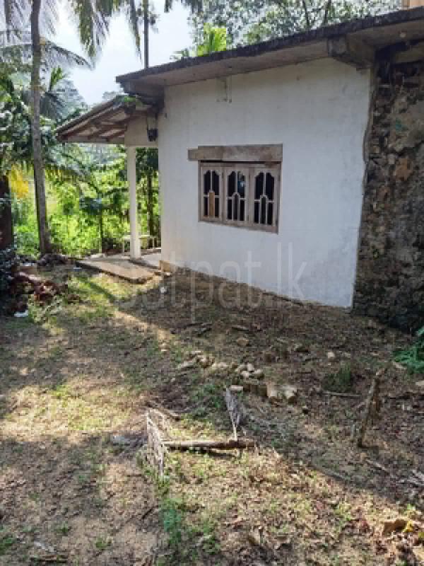 Agricultural Land for Sale in Neluwa