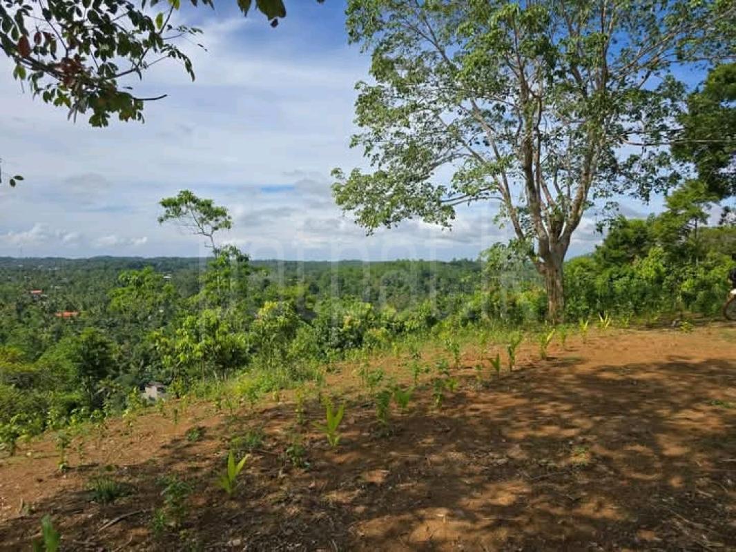Commercial Land for Sale in Weligama