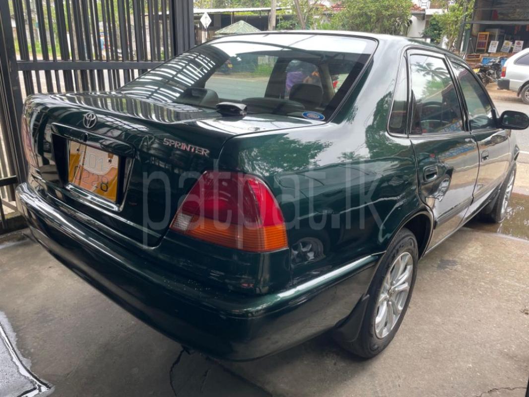 Advertisement image 4