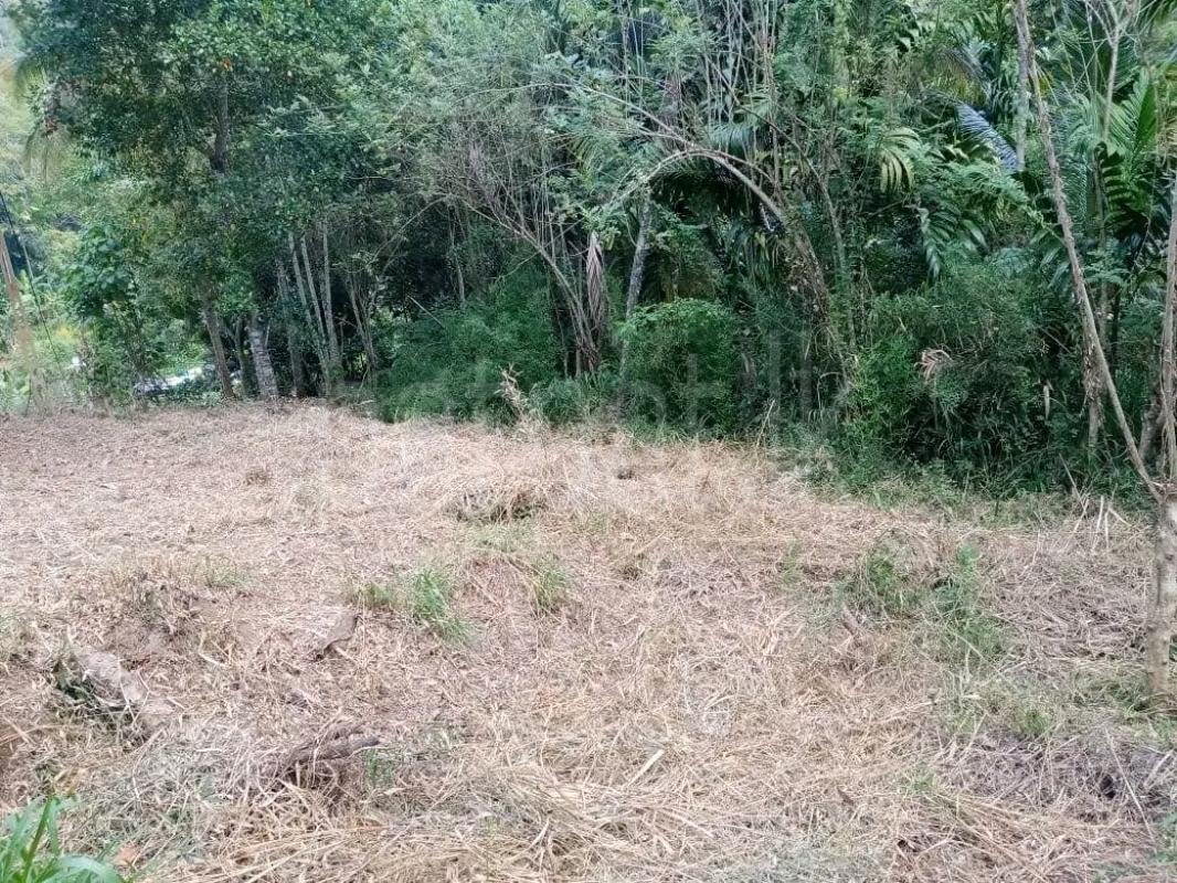 Agricultural Land for Sale in Ridigama