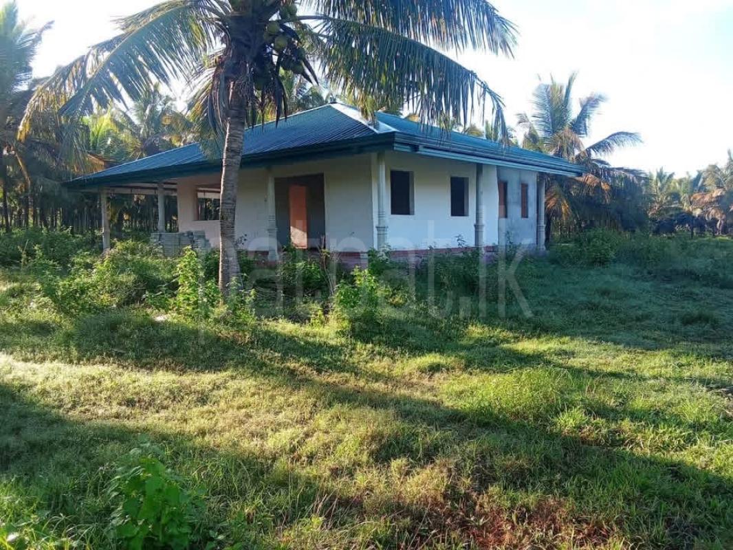 Agricultural Land for Sale in Chilaw