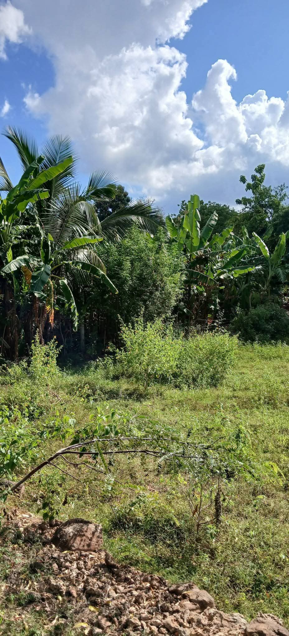 Agricultural Land for Sale in Kataragama ads-image-1