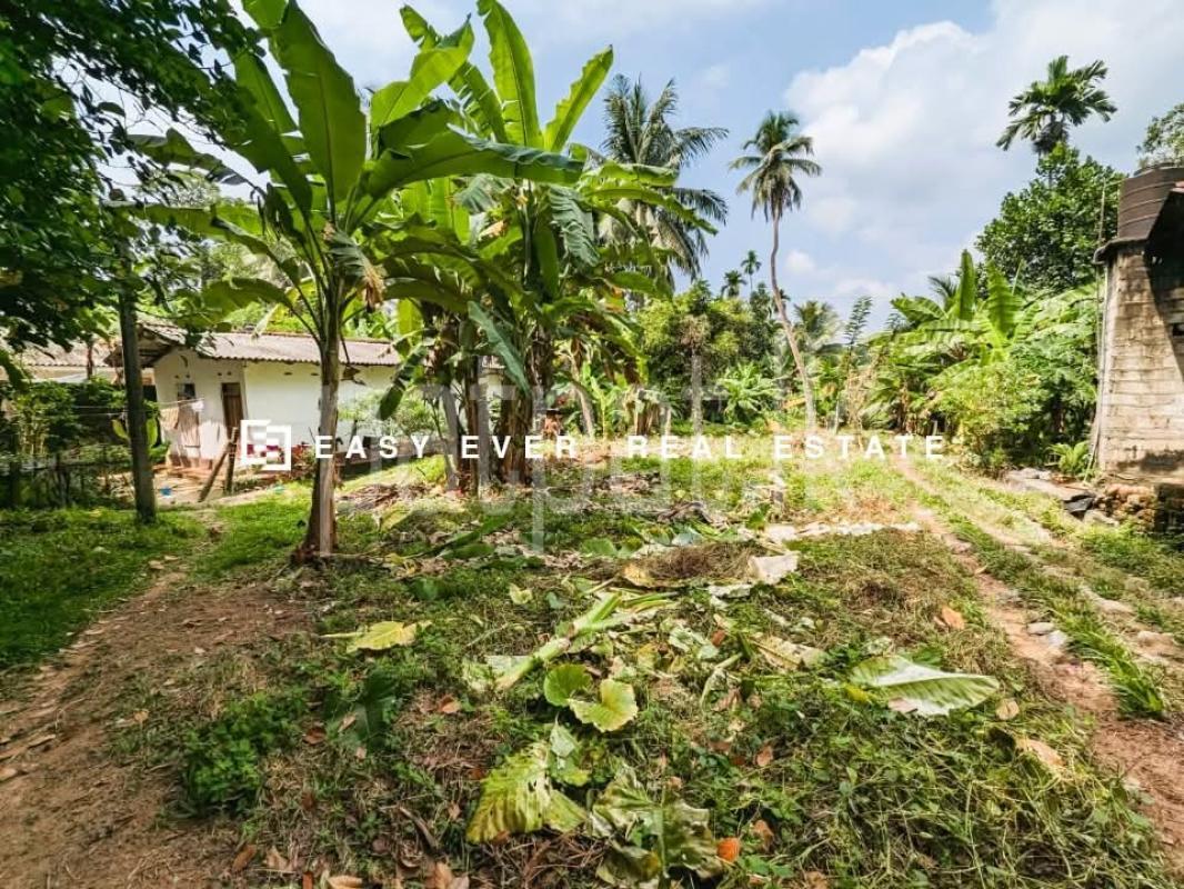 Residential Land for Sale in Kirindiwela